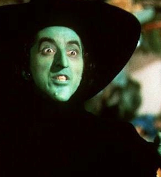 Wicked Witch of the West personified by son during presentation